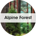 My Fresh refiller 6st. + 1st. Fläkt Alpine Forrest