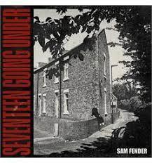 Sam Fender-Seventeen Going Under(LTD)