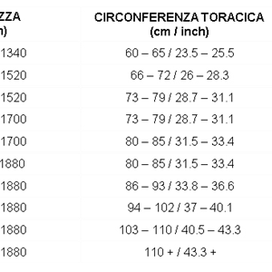 Bengio Ribbensbeskytter AB7  CIK/FIA 