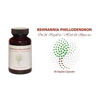 Rehmannia Phellodendron