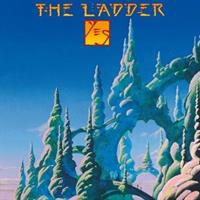 Yes-Ladder(LTD)