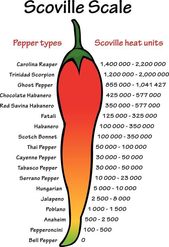 Chili Styrke
