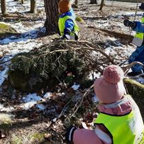 Today the Kindergarten children wanted to build a house for metsämörri  in the forest (Picture showed with permission)