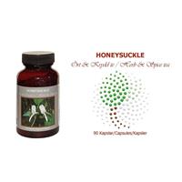 Honeysuckle