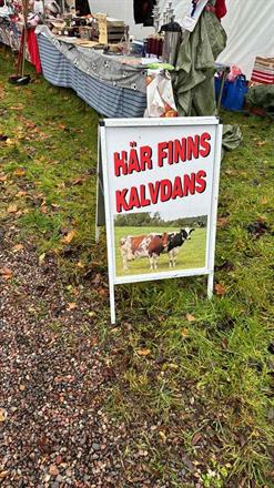 På marknaden fanns mycket att köpa, även gammaldags kalvdans av Gunilla från Elvisjö!, som också bjöd på värmande lingonglugg till alla huttrande besökare och utställare!