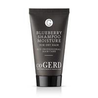 Blueberry Shampoo 30