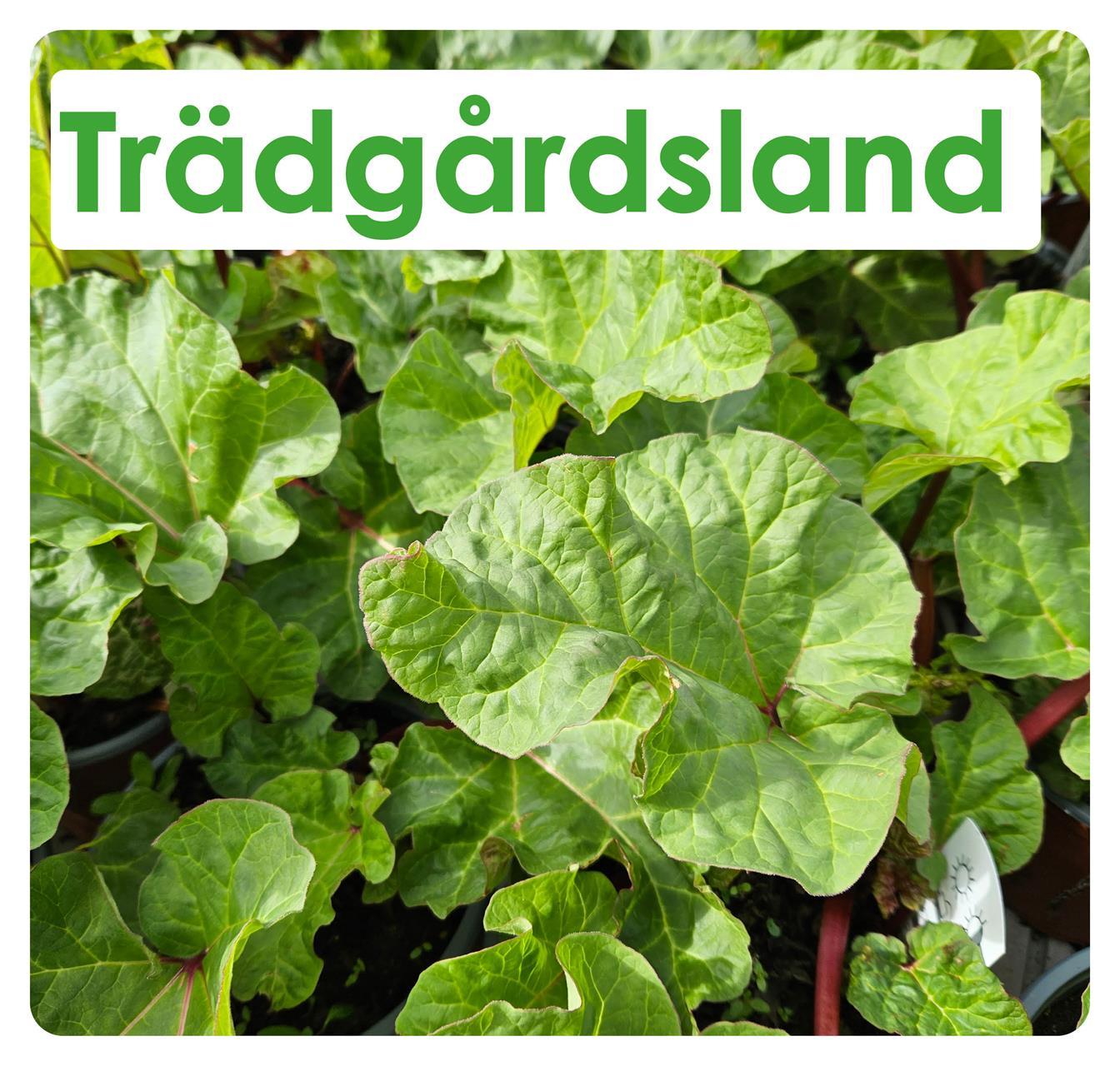 Trädgårdsland