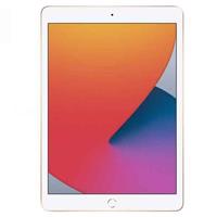 iPad 10,2" 8th Glassbytte (A2428/2429/2430/2270)