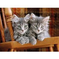 Puslespill Gray Kittens on chair, 500 brikker