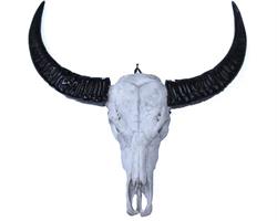 Buffel kranium - Naturlig (2 pack)