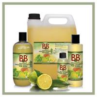 B&B shampoo med sitrus 100ml