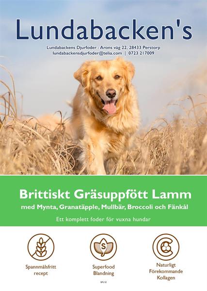 SF65 Vuxen Hund Brittiskt Gräsuppfött Lamm 2kg