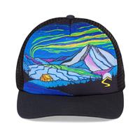 Northern Lights Trucker