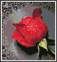 Diamond Painting, Rose rød 26*28cm FPK