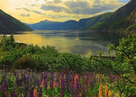 Puslespill Fjord i Norge, 1000 brikker