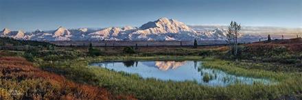 Puslespill Panorama Denali National Park, 1000 brikker