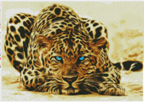 Diamond Painting, Leopard 50*40cm FPR