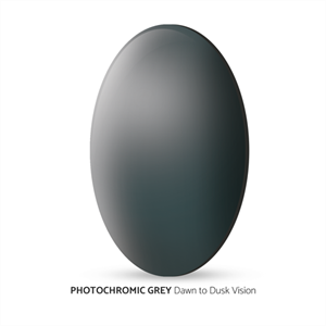 COVE - PHOTOCHROMIC GRAY (BLACK)
