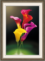 Diamond Painting, Calla 42*62cm (H0573) DPR