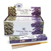 Green Tree - Californian whitesage lavendel (12p)