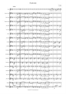 O sole mio- Brassband arr