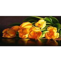 Diamond Painting, Tulipaner 67*27cm (25019) FPR