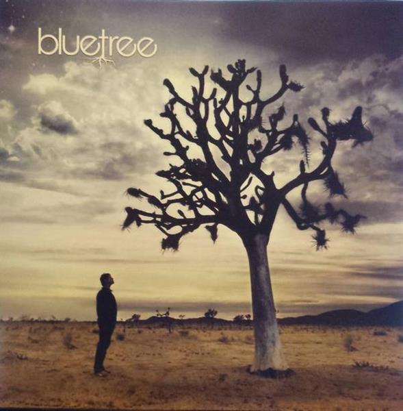 BLUETREE - GOD IN THIS CITY CD