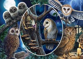 Puslespill Mysterious Owls, 1000 brikker