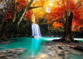 Puslespill Deep Forest Waterfall, 1500 brikker