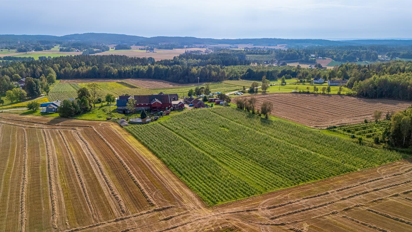 Skauen Gård