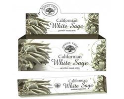 Green Tree - Californian white Sage (12 pack)