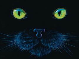 Puslespill Black Cat, 1000 brikker