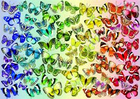 Puslespill Butterflies, 1000 brikker