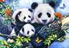 Puslespill Panda Family, 1000 brikker