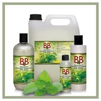 B&B 2 i 1 shampoo med sitronmelisse