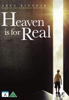 HEAVEN IS FOR REAL DVD