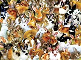 Puslespill A Bundle of Bunnies, 1000 brikker