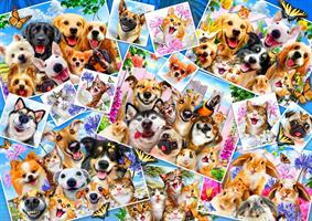 Puslespill Selfie Pet Collage, 1000 brikker