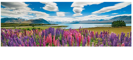 Puslespill Panorama Lake Tekapo, 1000 brikker