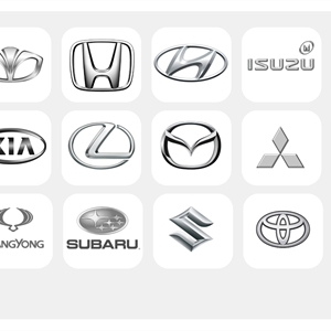 MaxiEcu 4th Generation Asien 14 bilmärken 