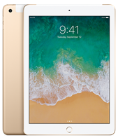 iPad 9,7" 5th 2017 Glassbytte (A1822/A1823)