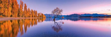 Puslespill Panorama Lake Wanaka Tree, 1000 brikker