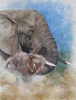 Diamond Painting, Elefant 24,5*34,5cm (A293) FPR