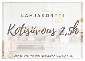 Kotisiivous 2,5h