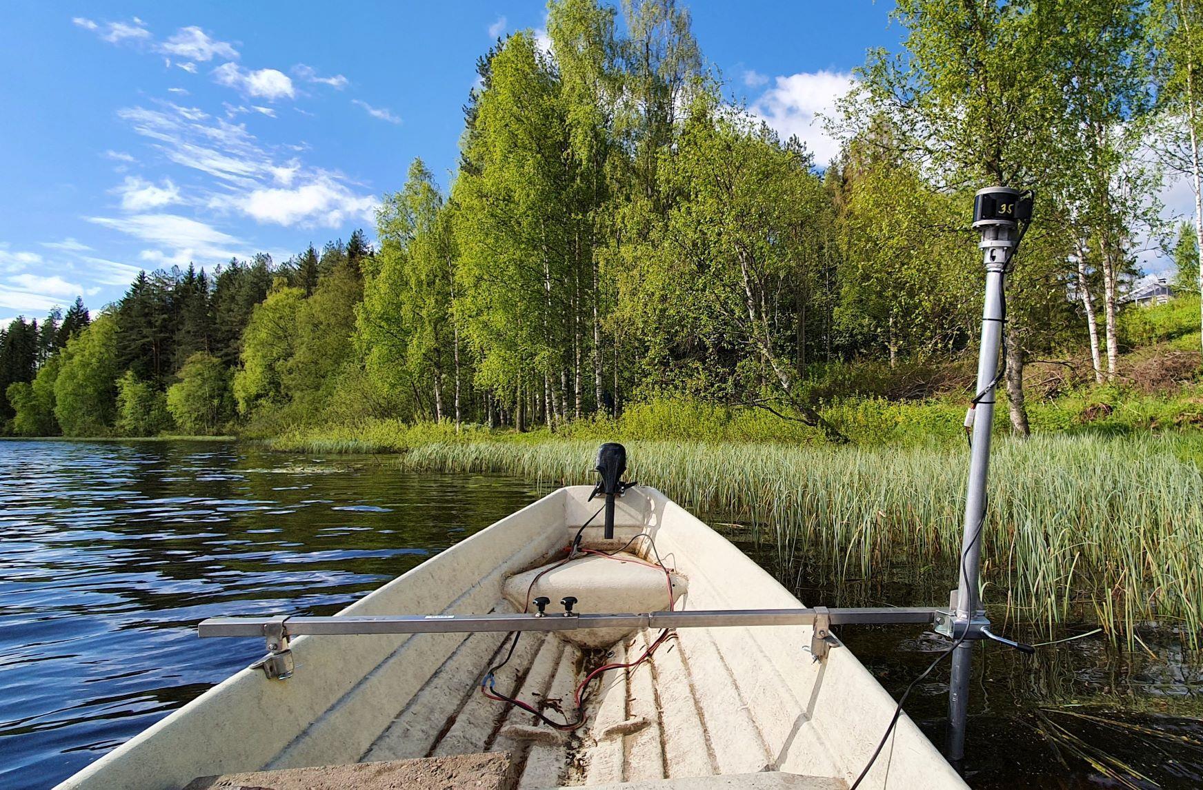 Kaislaleikkuri niittämässä