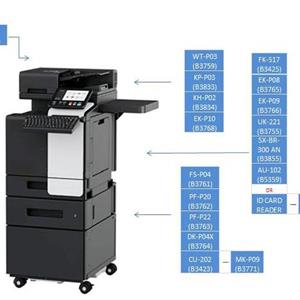 d-Color P3302
