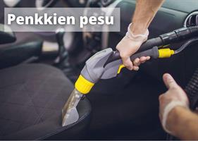 Penkkien pesu