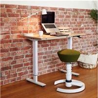 Flexidesk Höj och sänkbart skrivbord ek/vit