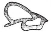 1-6064 Koffertlist Crysler 1960-64
