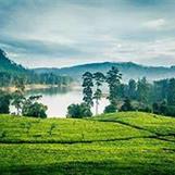 Tea_plantations#Upcountry_Sri_Lanka